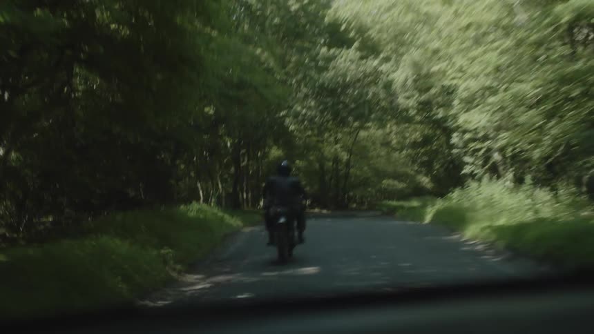 A biker riding on a forest road during the day