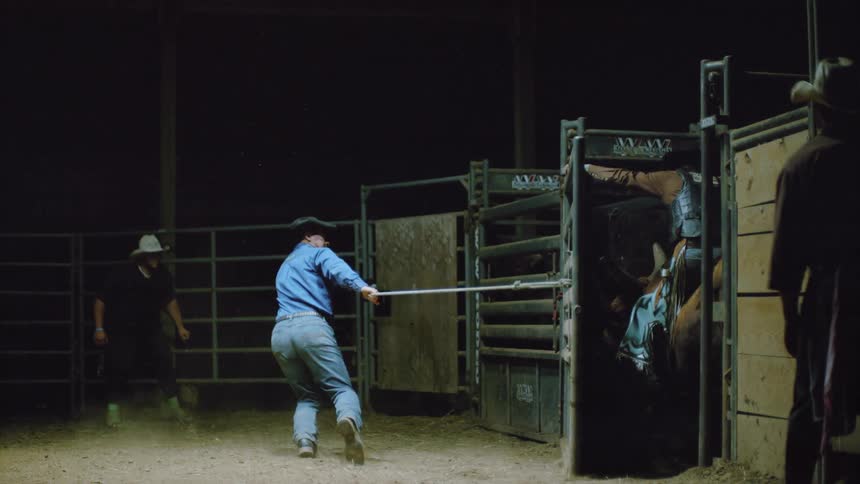 Bull Rider