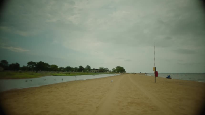The sands of a beach with marks of wheels and in the background birds flying overhead