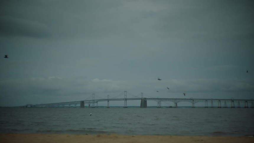Birds fly near bridge over water on cloudy day