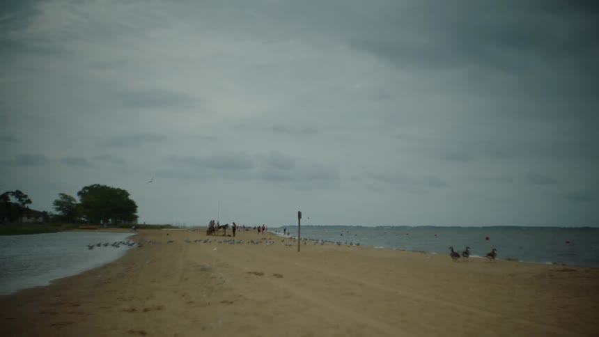 People enjoying the beach on a cloudy day