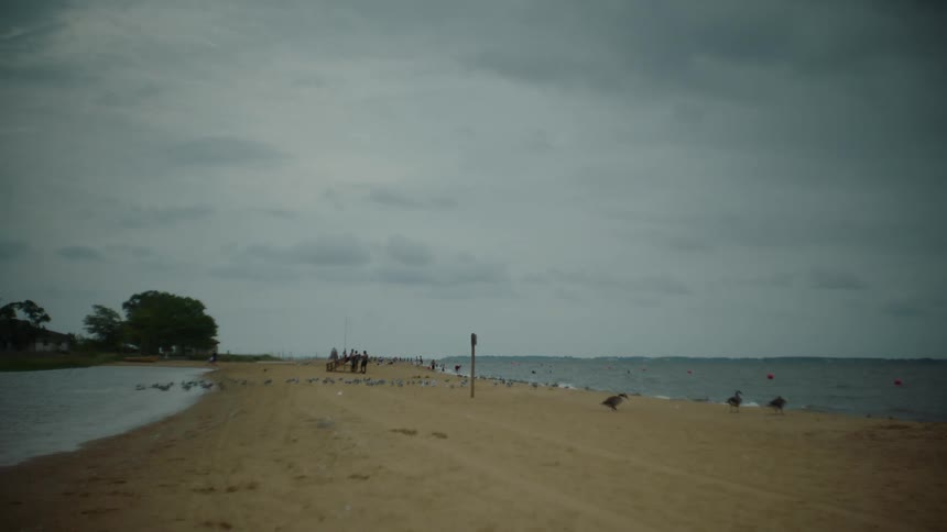 Beach sand and sea with people and birds on a cloudy day