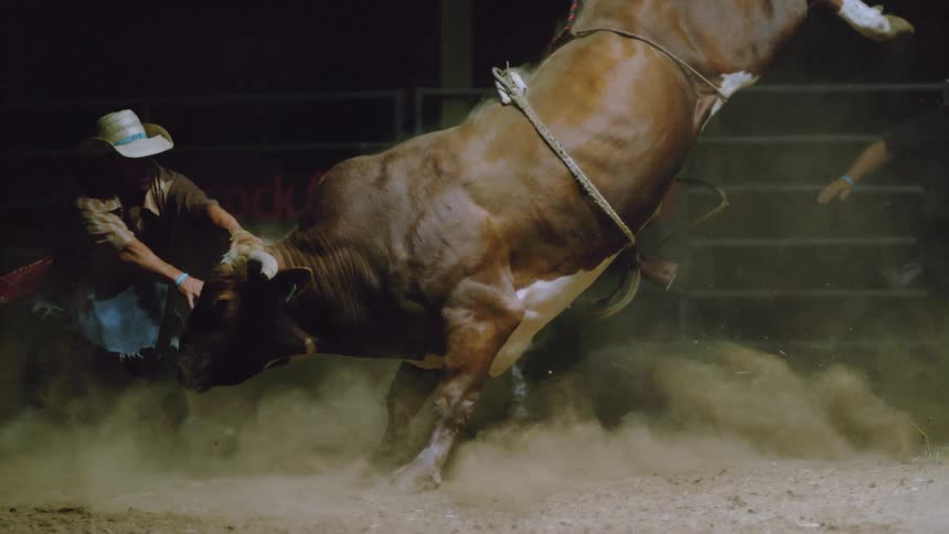 Bull Rider