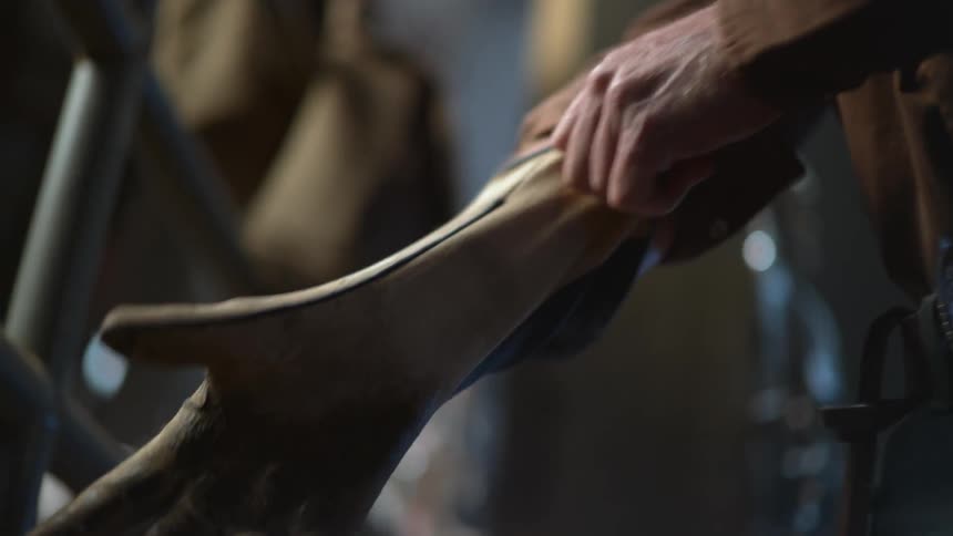 Cowboy rolling up his sleeves putting on his gloves