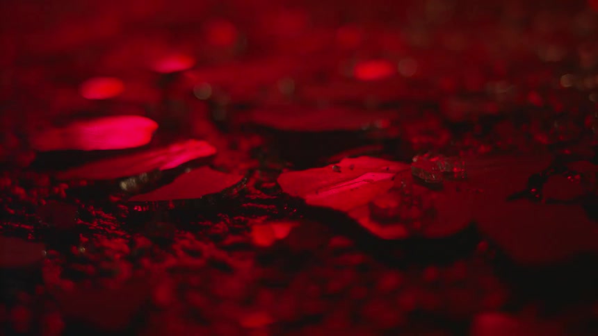 Red and blue flashing lights reflect on pieces of broken glass on the ground