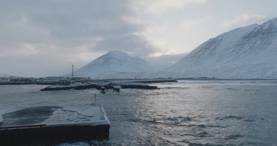 Landscape of birds flying over the sea with a chain of snowcovered mountains in the background