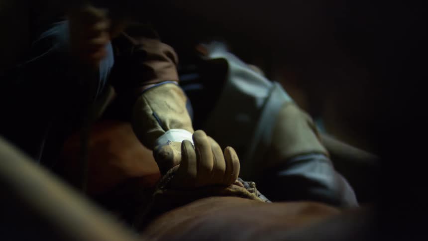 A bull rider tightens his handhold and rope while in the chute