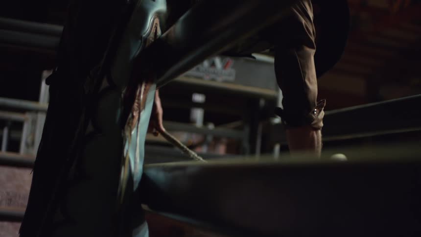 A cowboy adjusts the rope around a bull in a chute