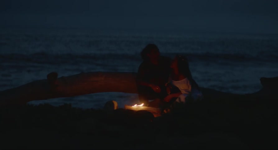 A couple sitting around a bonfire on the beach at dusk