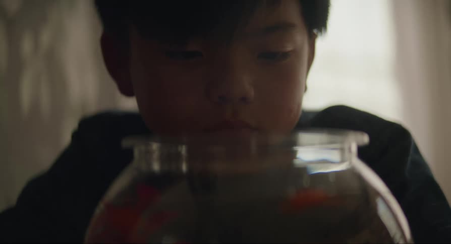 A boy is looking into an aquarium filled with goldfish