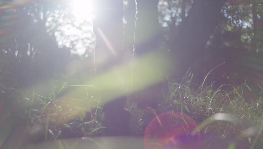 Human legs walking on a grass path in a forest and towards the sunlight