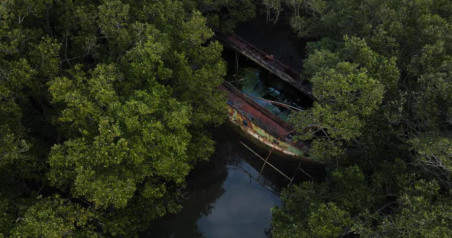 Aerial of a sunken ship on a river in the middle of the forest