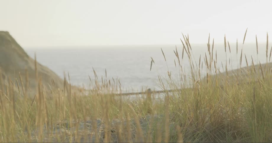 The sea between two coastal hills
