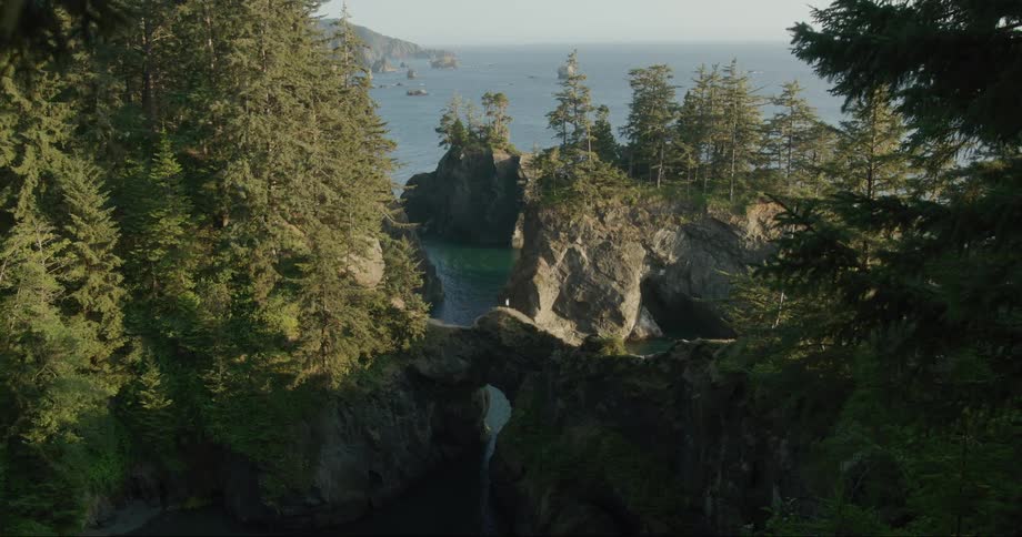 A view of a mountain with trees and rocks and the ocean in the background