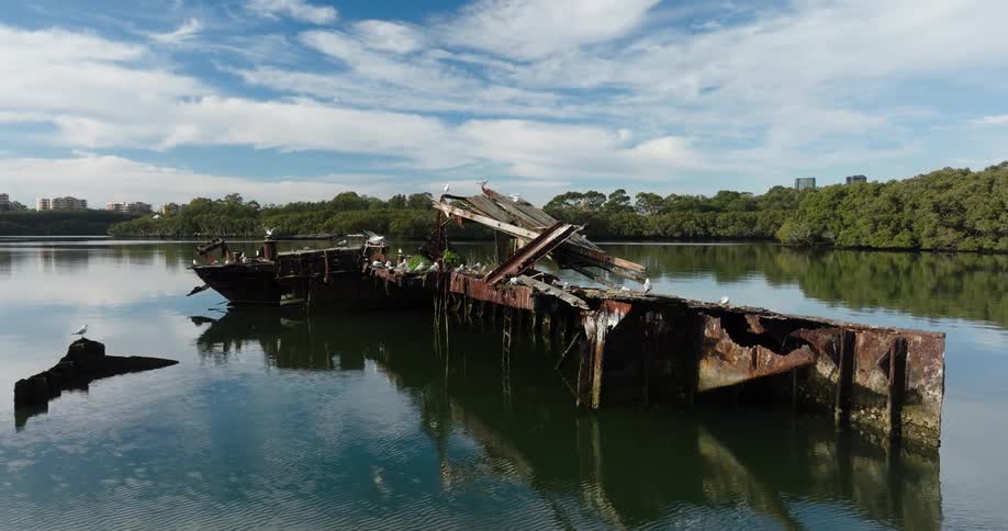 Wreckage of a vessel in a river near the forest