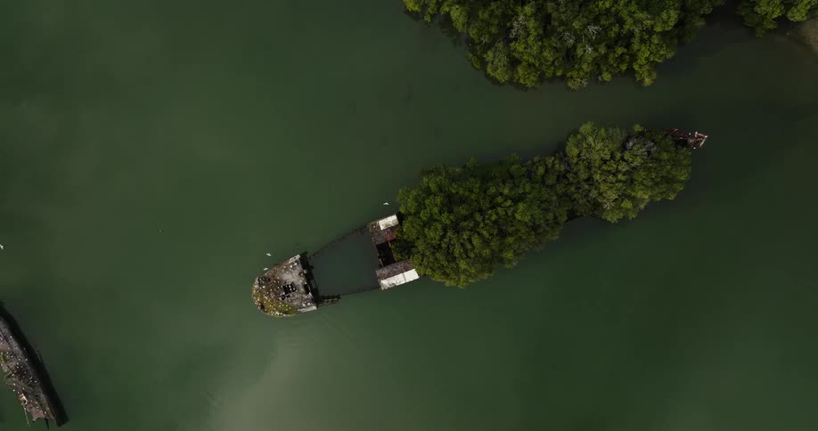 Aerial view of a small island in the middle of the sea with docks and trees