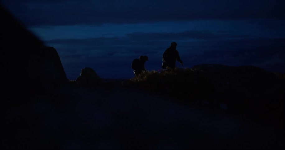 Two people walking in nature at night