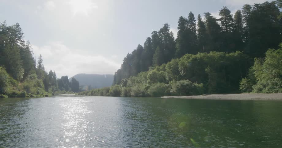 Sunlight reflects on the ripples in the water as a river runs though a forest with a mountain in the distance under a cloudy sky