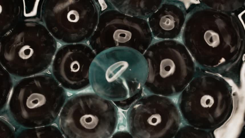 Eyeshaped circles with water inside