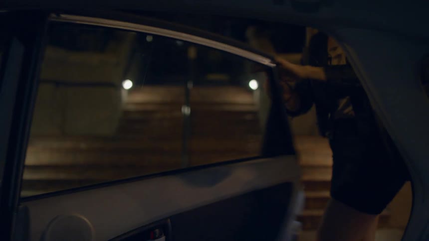 A woman gets out of a car, waves and climbs up stairs