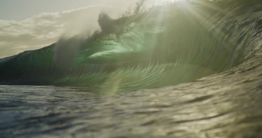 The sun shines brightly upon a wave as it splashes and rolls overhead