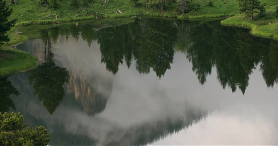 The reflection in a pond of a forest and mountain landscape