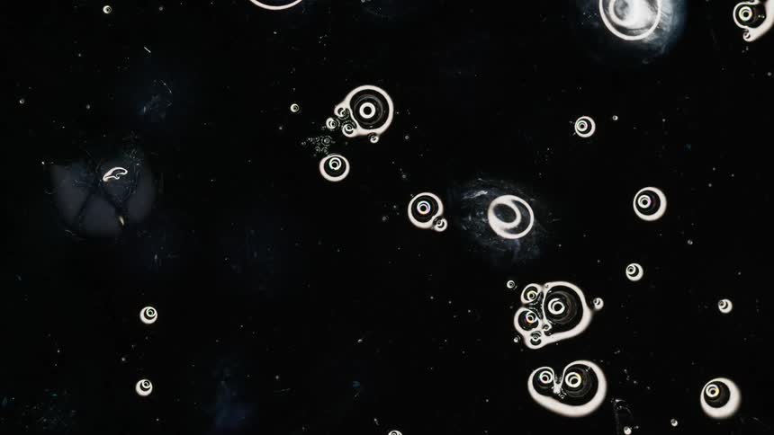 A dark fluid with numerous bubbles in it that are slowly drifting