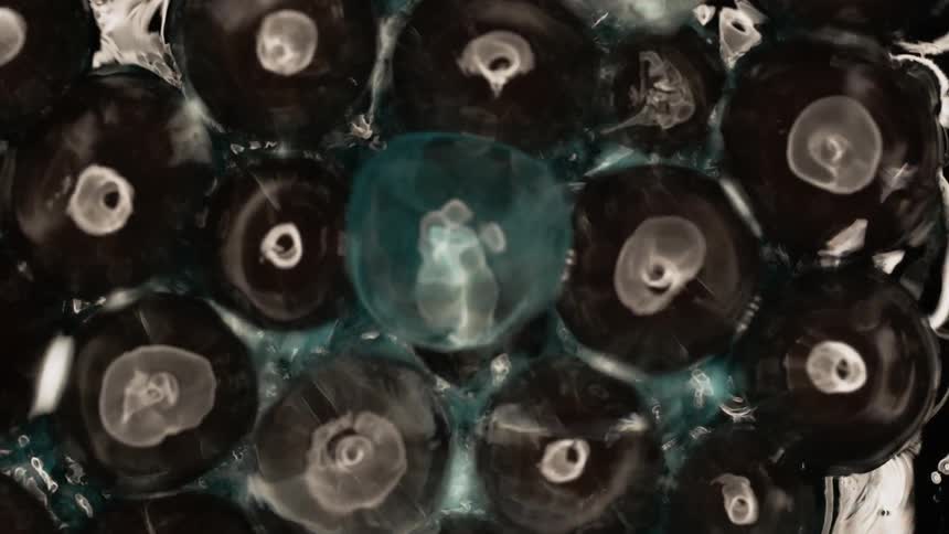 Rings of white ink floating over a dark background reflecting shimmering lights
