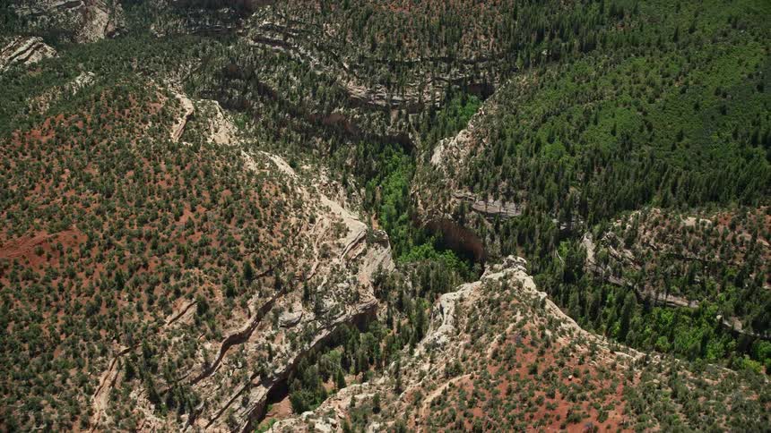  aerial footage showcasing an tilt from a bird's eye view of Arch Canyon Utah before soaring away over a lush pine tree forest in the canyons of the badlands in Southwest United States during a sunny day in spring/summer