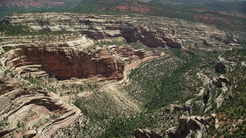 A stunning aerial shot of a canyon in Manti-La Sal National Forest Utah with a pan across the picturesque landscape and lush trees