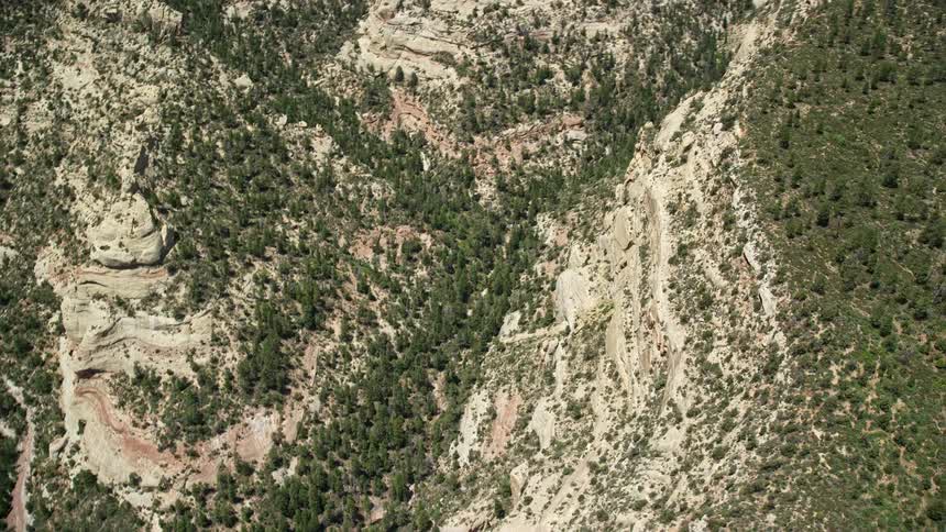  aerial footage of a scenic box canyon in Manti-La Sal National Forest Utah capturing an bird's eye view as the drone tilts downwards to reveal the mesmerizing landscape