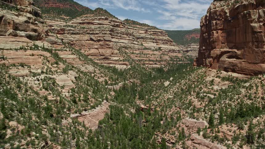 an aerial view of a canyon valley filled with pine trees and desert plants at the bottom of Arch Canyon in Utah showcasing the stunning nature of the Southwest United States