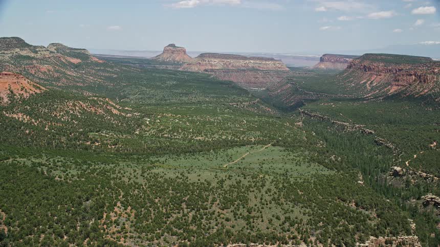 Aerial view of a canyon in Manti-La Sal National Forest Utah with buttes and mesas showcasing the arid and sunny desert landscape