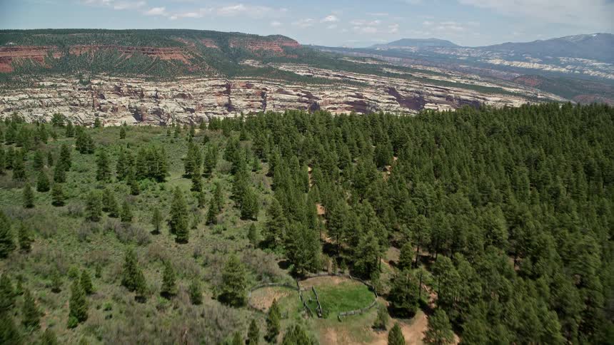 Aerial footage of a forest and deep valley with rock formations revealing a stunning canyon in Manti-La Sal National Forest Utah in the southwest region of the United States