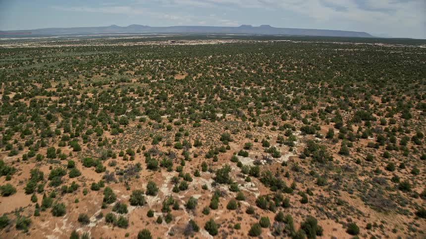 Aerial footage flying over Slick Horn Road and desert valley in Cedar Mesa Utah showcasing the arid landscape and dirt roads of the Southwest United States