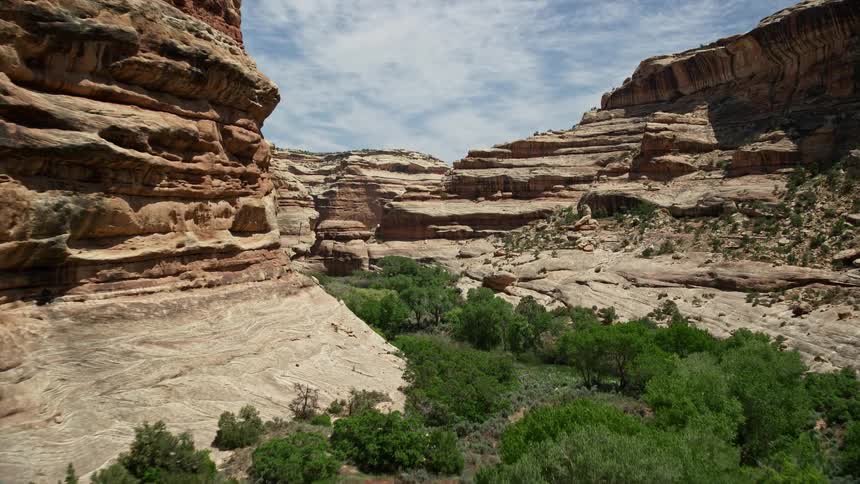 Aerial view of low flying through Grand Gulch showcasing the lush vegetation and stunning canyon landscape in the arid desert of Utah