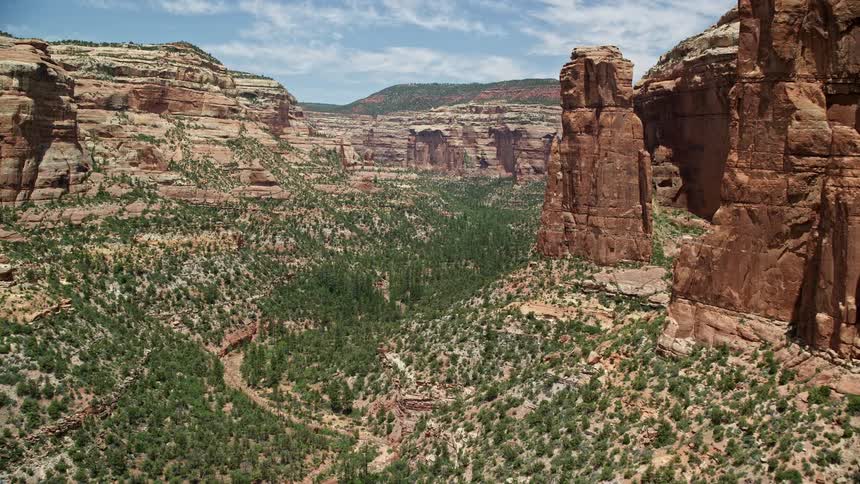  aerial footage capturing the breathtaking beauty of Arch Canyon Utah as the drone glides near towering rock formations surrounded by lush vegetation in the bright sunshine of a summer day