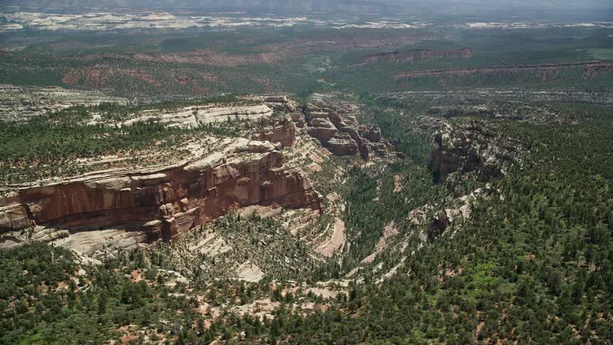  aerial footage showcasing lush green vegetation growing on the sides of a canyon in Manti-La Sal National Forest Utah