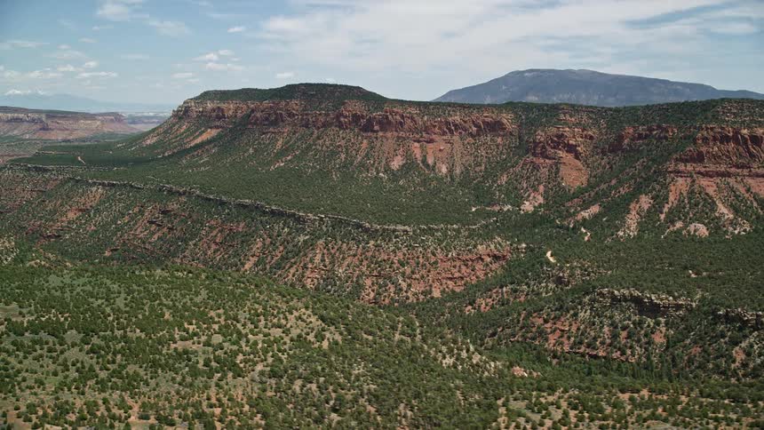  aerial footage showcasing an canyon below a towering mesa surrounded by the untouched beauty of Manti-La Sal National Forest in Utah's Southwest United States