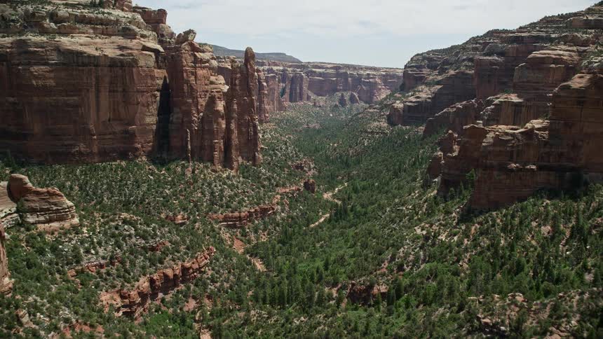 Stunning aerial view of flying through Arch Canyon in Utah capturing the breathtaking beauty of towering rock formations and lush trees in the canyon valley during daytime