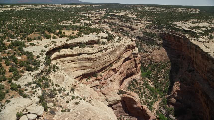  aerial footage flying over Grand Gulch revealing the stunning desert plants and rugged landscapes of the Grand Gulch Primitive Area in Utah