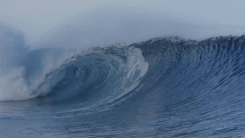 Wave forming and breaking in the water creating a barrel or tube