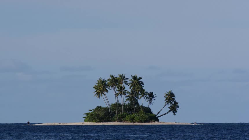 Desert island landscape with exotic palm trees and blue sea