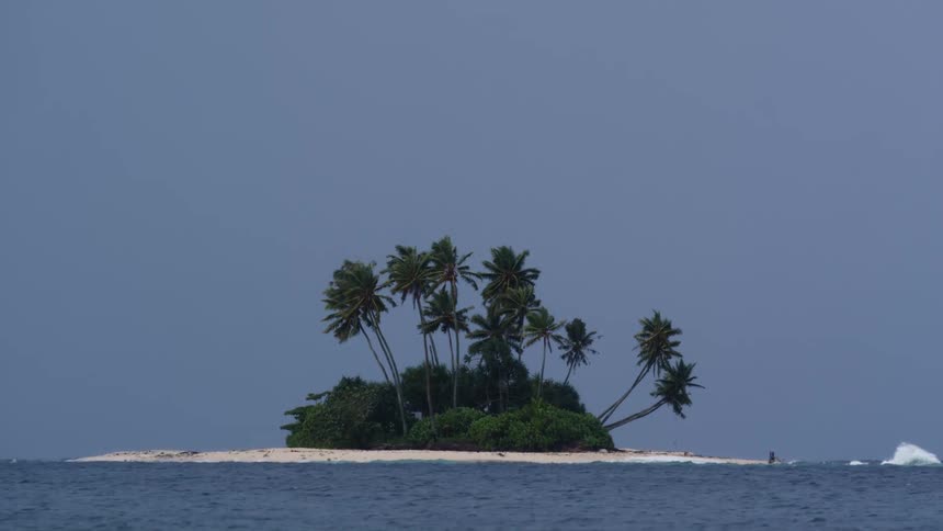 Palm trees on a small island in the middle of the ocean