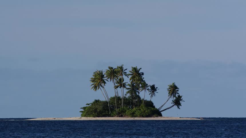 View of a small island with a tropical biome surrounded by the sea and waves