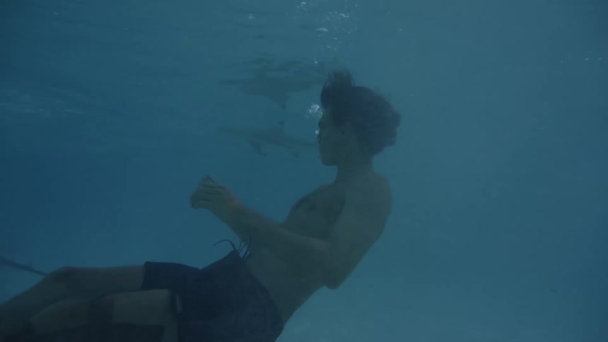 A man wearing short is deep under the sea diving as sharks and other fish swim by