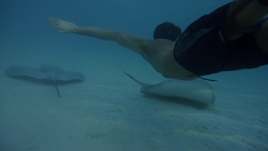 Young man swimming in the sea with stingrays