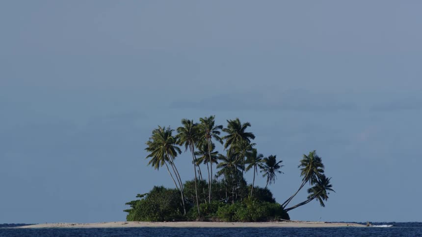 Isolated small island with palm trees