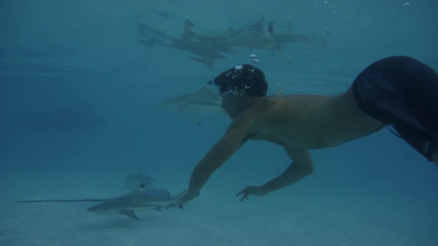 A man is swimming underwater with small sharks