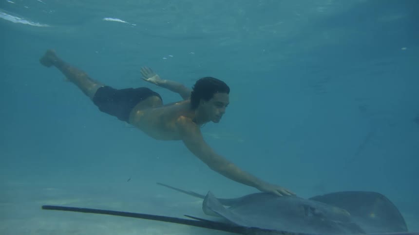 Man diving and touching a stingray with one of his hands